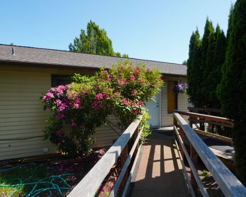 DSC00458